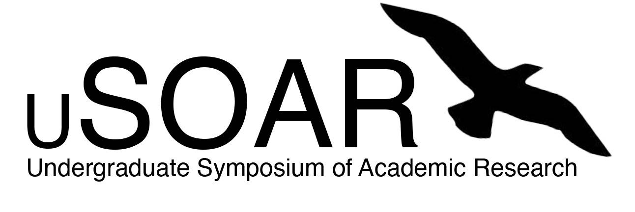 uSOAR logo with soaring birds