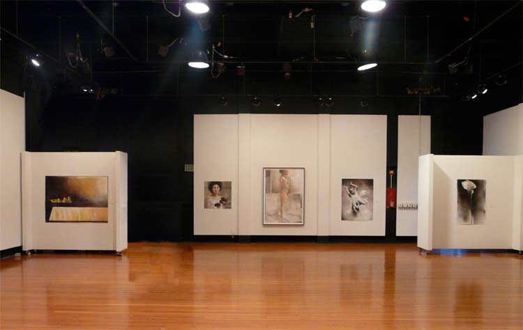 art gallery walls featuring various paintings and drawings by Stephen Namara