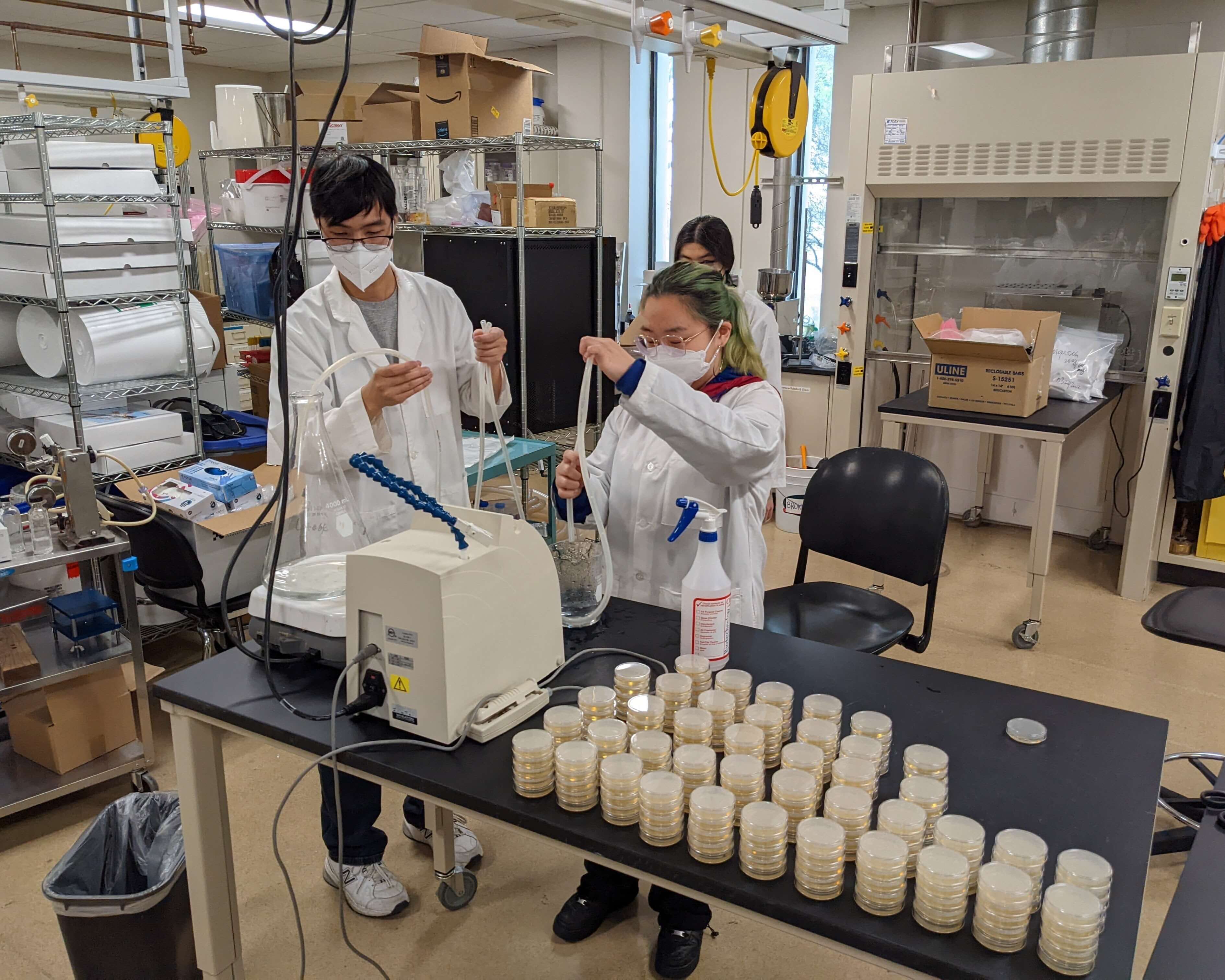 Three students in lab coats handle lab equipment and petri dishes