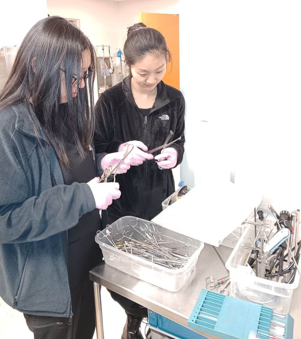Two sterile processing students pick up tools froma box