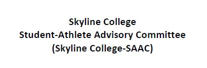 first slide of presentation: student athlete advisory committee