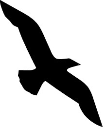 uSOAR Bird Image
